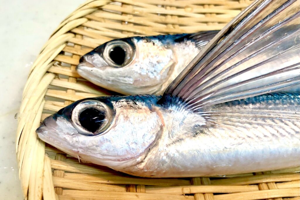 毎朝仕入れる新鮮な魚を中心に、その時期ならではの旬の鮮魚を豊富に取り揃えています。