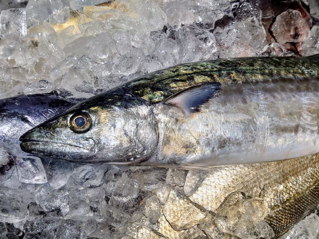 毎朝仕入れる新鮮な魚を中心に、その時期ならではの旬の鮮魚を豊富に取り揃えています。