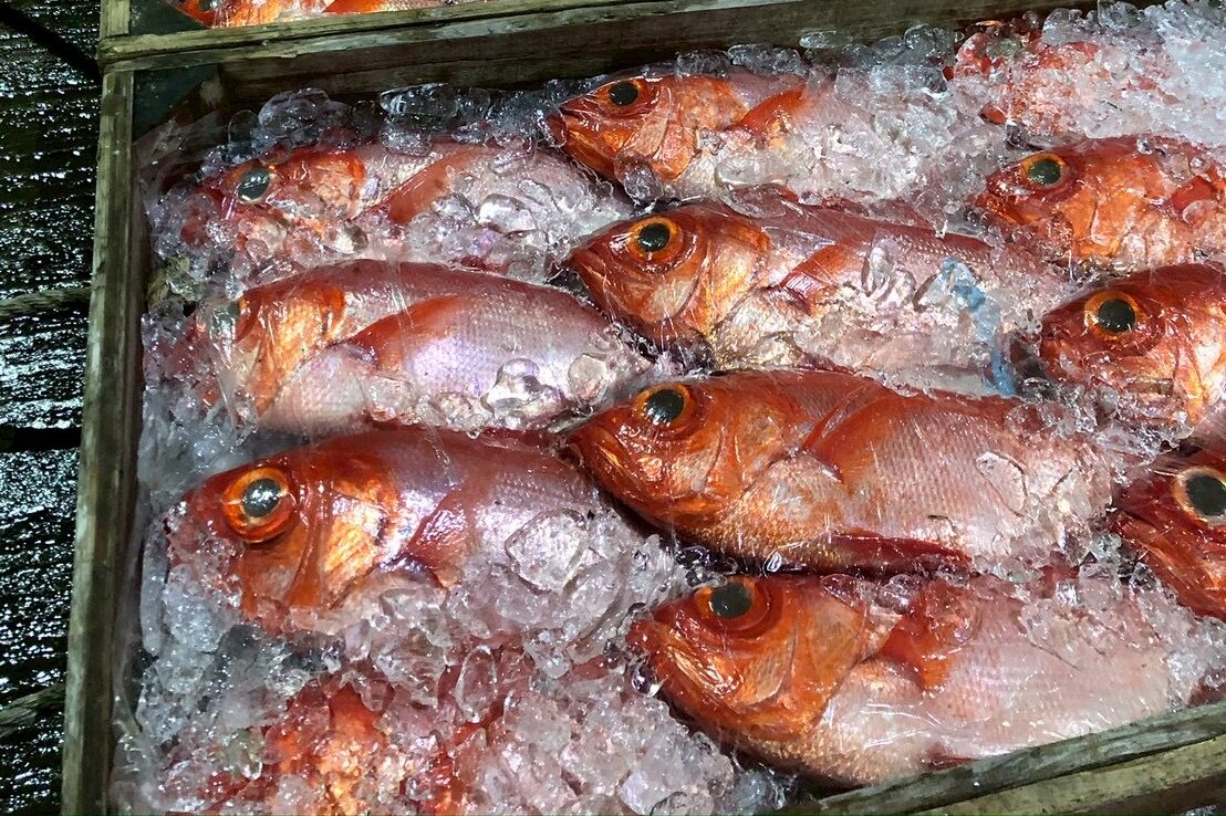 毎朝仕入れる新鮮なお魚