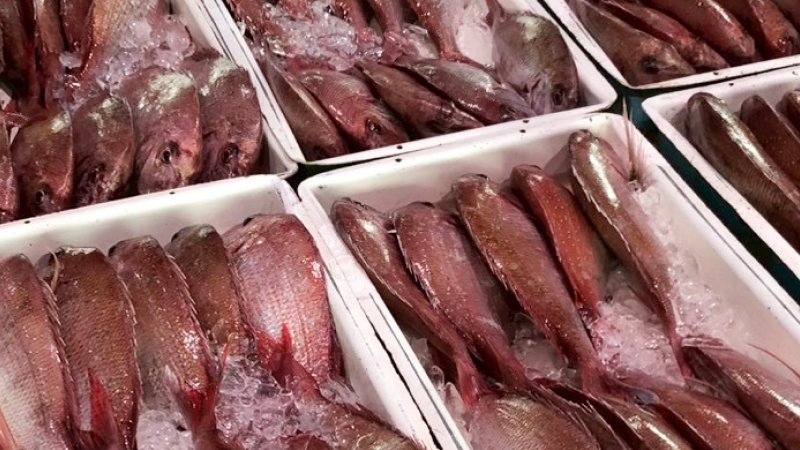 近隣の飲食店様向けに、用途やご予算に応じた鮮魚の卸売にも対応しております。